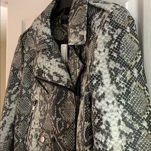 Aqua Faux Snake Moto Jacket